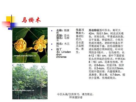 常見植物名稱|花卉種類圖譜指南：認識百種花卉，讓你變身花卉達人。